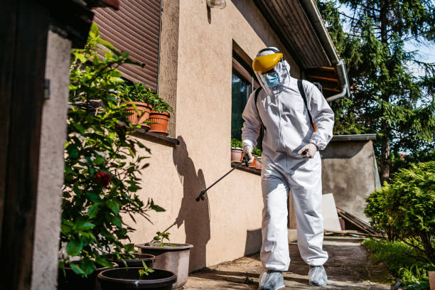 Best Emergency Pest Control  in Woodsi East, DE