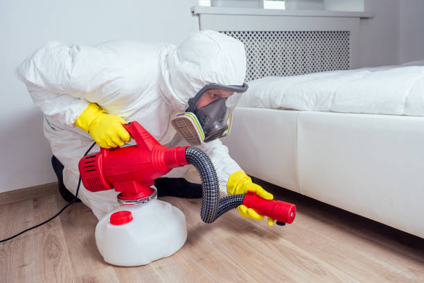 Best Bed Bug Extermination  in Woodsi East, DE