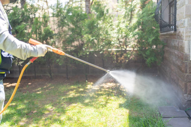 Professional Pest Control in Woodside East, DE