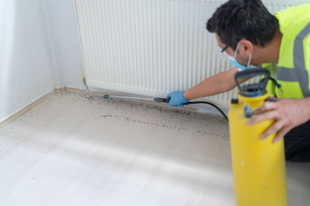 Best Pest Control Near Me in Woodside East, DE
