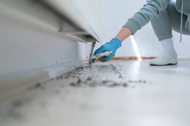 Best Residential Pest Control  in Woodsi East, DE